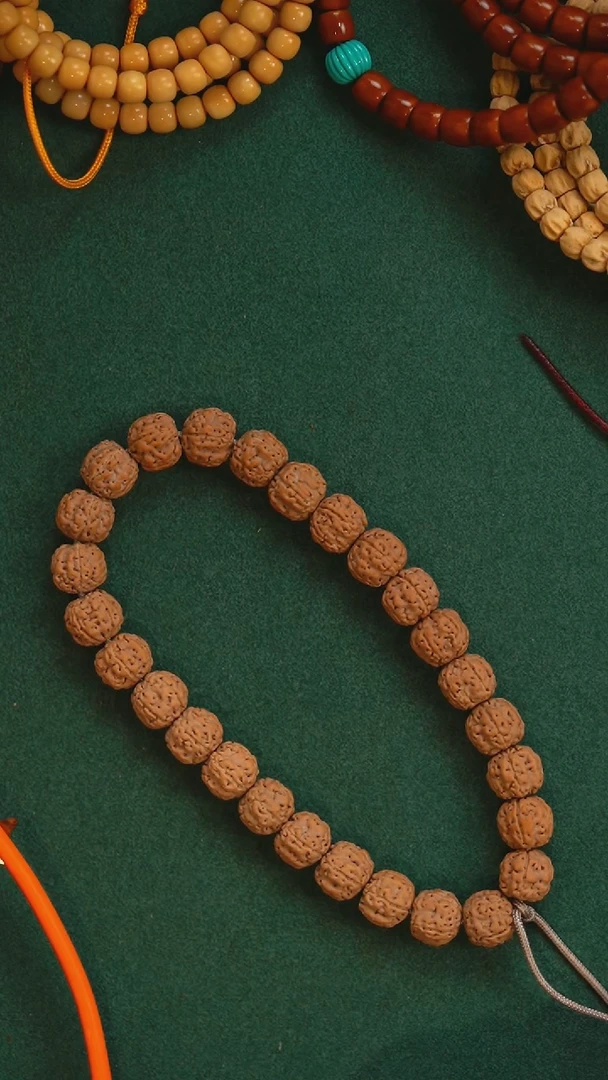 金刚菩提手串梅花盘龙单圈A01