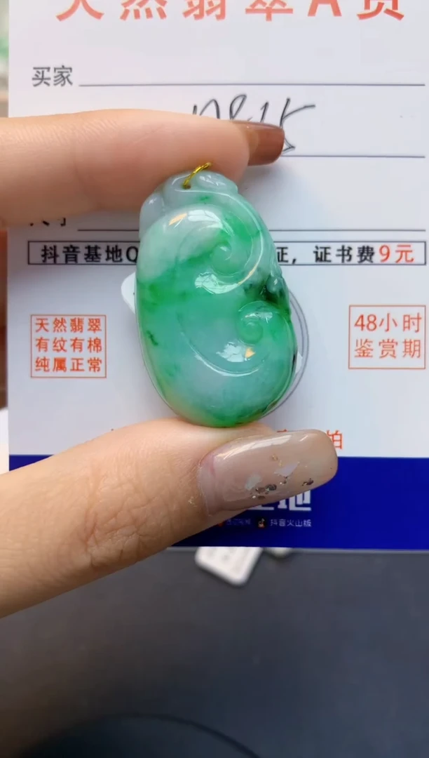 颈饰未镶嵌翡翠天然A货翡翠百元以上9元证书费自理
