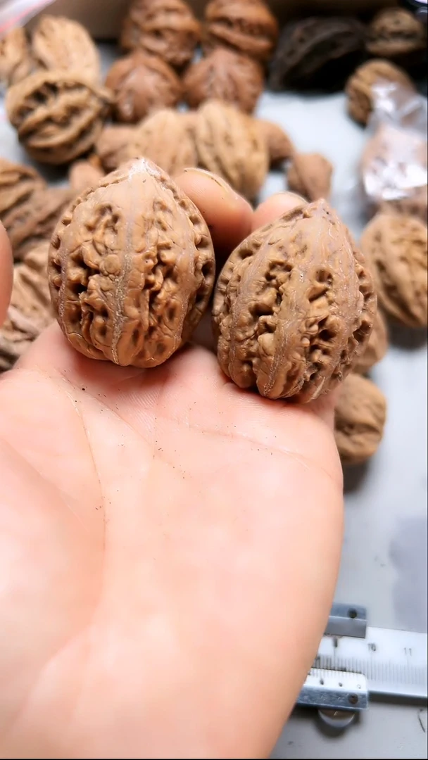 核桃东北野生大秋子3