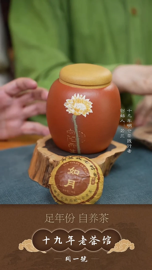 紫砂茶叶罐宜兴原矿紫砂醒茶罐+5沱如月