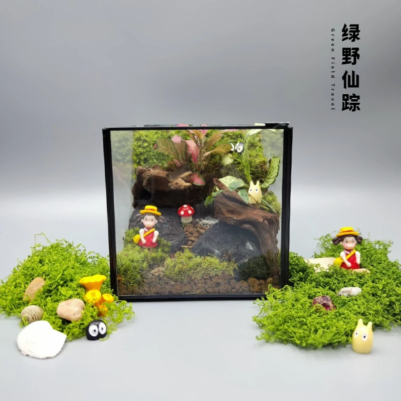 绿野仙踪苔藓造景小梅精灵门桌面生态微景观绿植懒人养护创意礼物