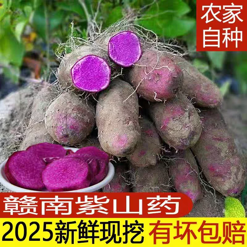 正宗赣南紫山药新鲜现挖紫人参紫薯农家自种紫淮山毛薯农产品蔬菜