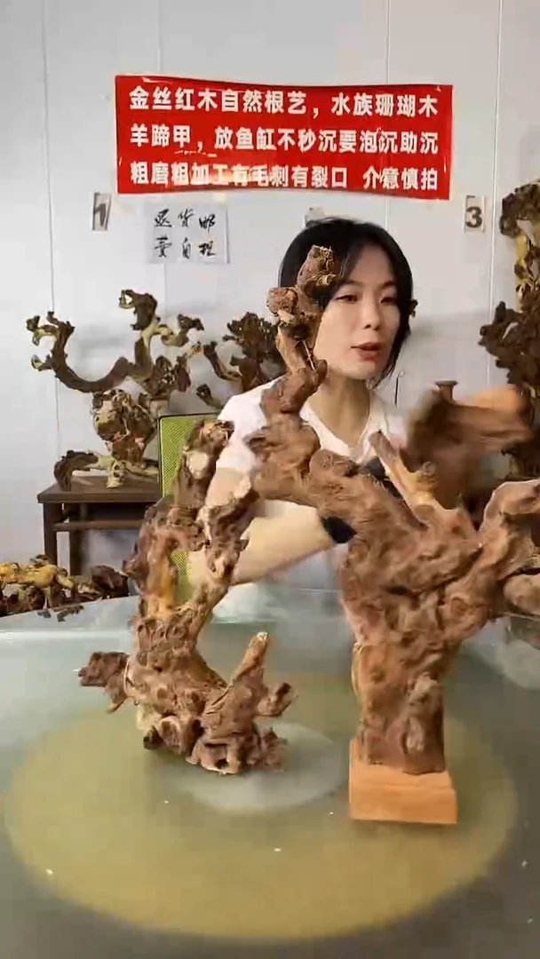 香榧木善*金丝红木 羊蹄甲2
