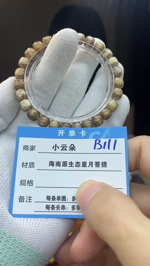 手串星月菩提B111