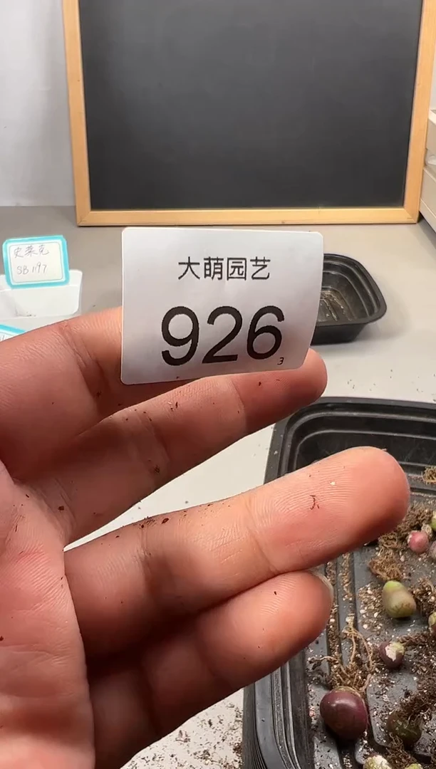 【闪购商品】++++926