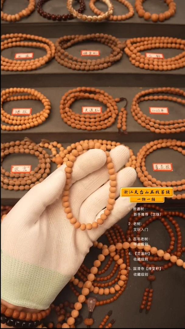 吊坠五线菩提刘*江手串