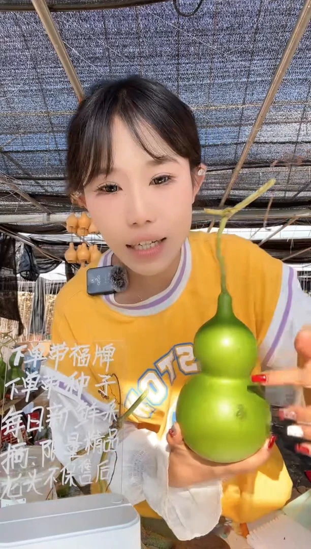 572天然葫芦摆件 一物一拍龙头不保售后