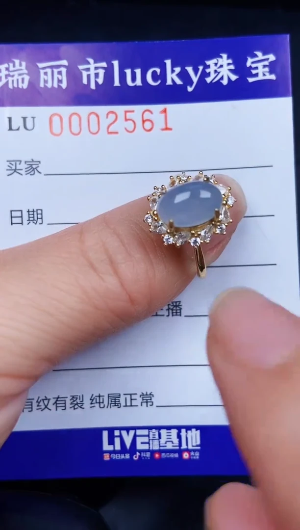 翡翠银S925镶嵌颈饰2561