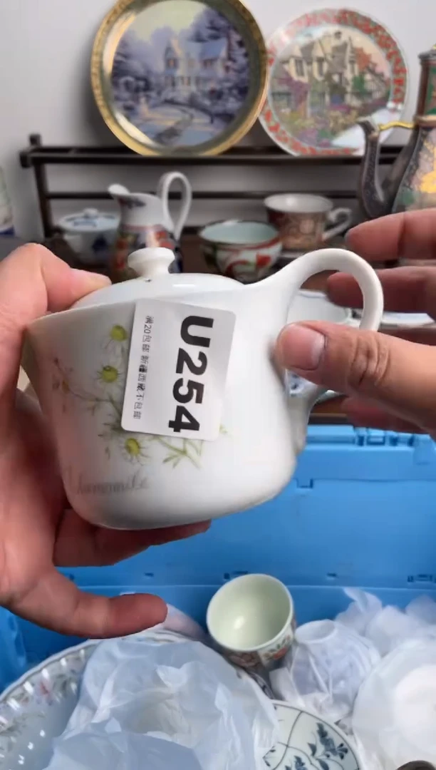 【闪购商品】瓷片254-U-满20包邮48h凑单