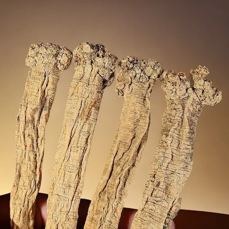 甘肃深山老党参 自然晒干纯正干货煲汤泡水佳品