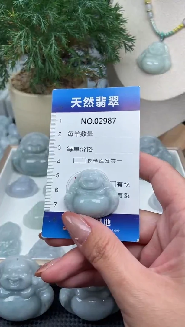 颈饰未镶嵌翡翠纯天然A货翡翠2987