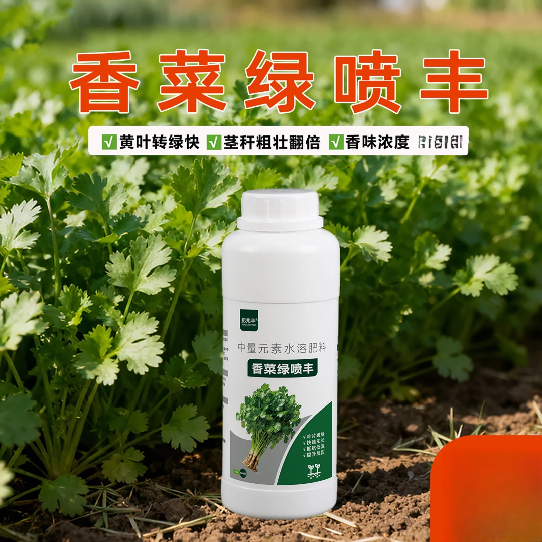【香菜绿喷丰】香菜通用叶面肥正品提苗暴长应对黄叶瘦弱增产页面肥