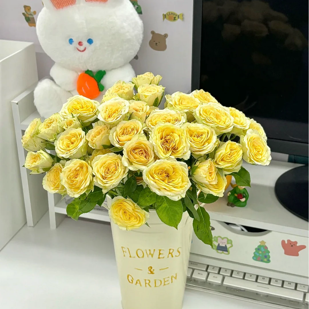 【小阿阮】A级 #牛油果#多头玫瑰花期长清新绿色家庭鲜花顺丰空运