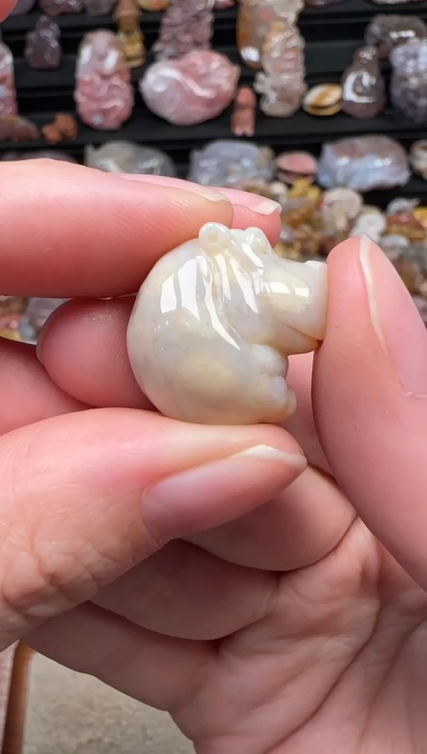 颈饰未镶嵌硅化珊瑚（珊瑚玉）782