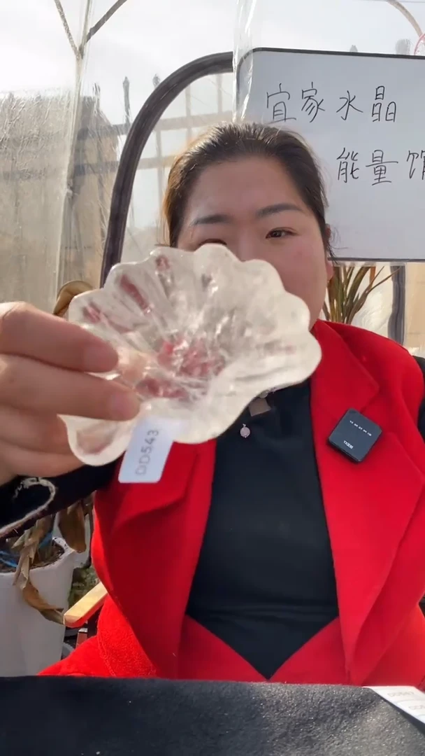 【闪购商品】水晶碗未镶嵌白水晶碗D543