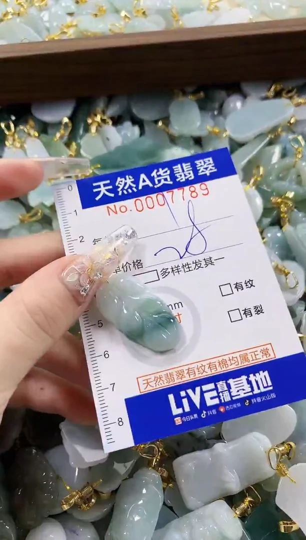 颈饰未镶嵌翡翠天然A货翡翠