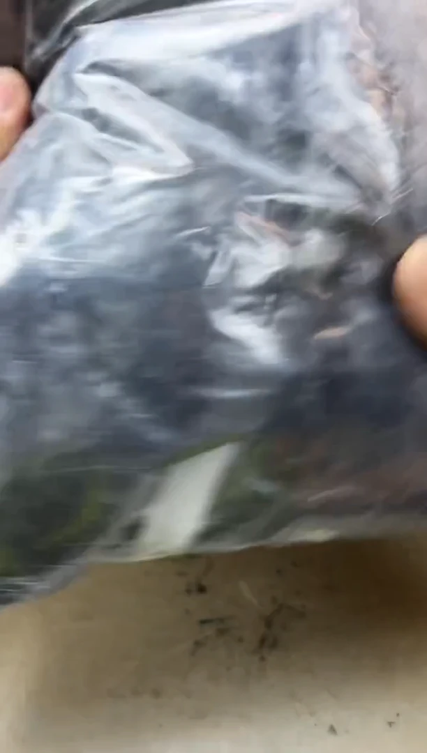瓷片643聚宝缘海淘精选