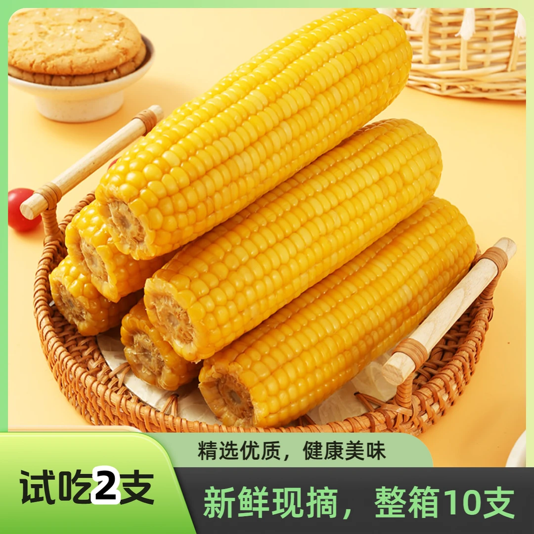 2025年头茬新鲜采摘黄糯玉米香甜软糯软玉米整箱10支5.5斤试吃2支