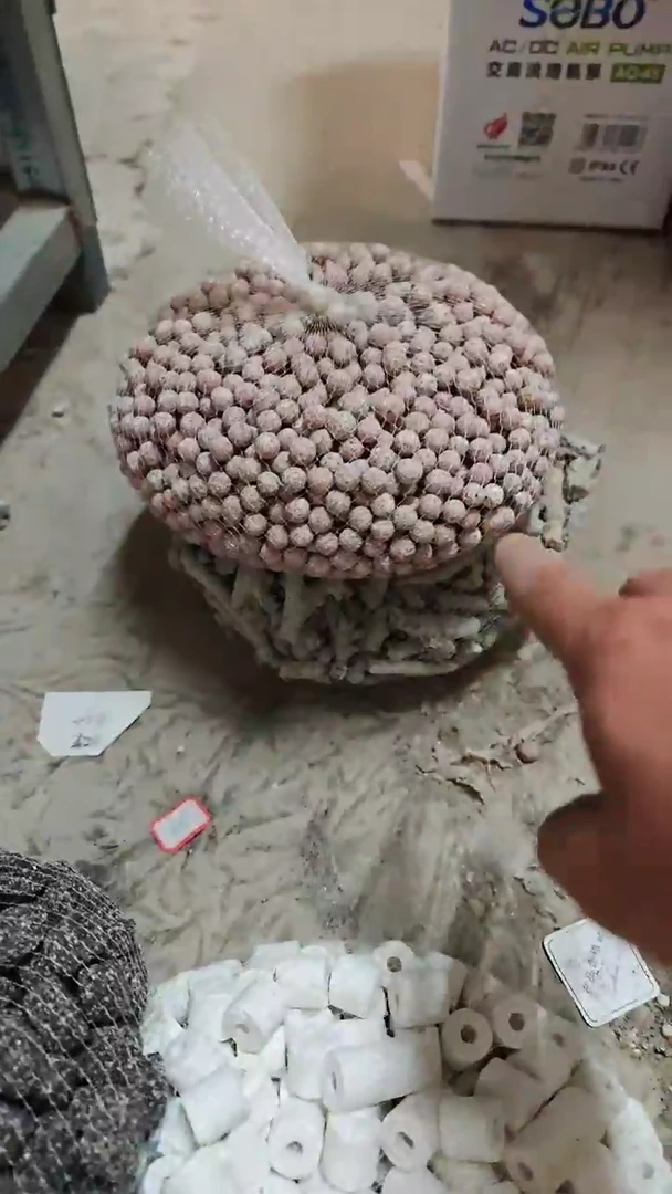 水母中空球5斤 中空球5斤