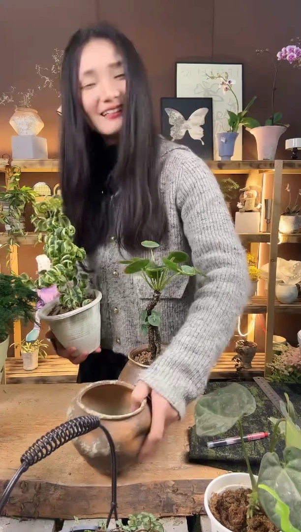 无花朵不***茶11   陪伴礼