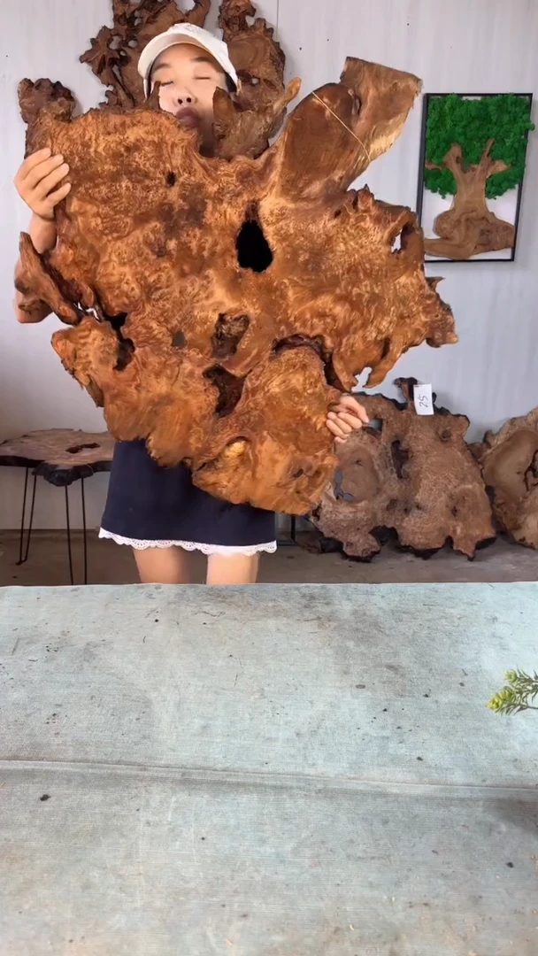 香杉木杉木瘤随型【原料】028