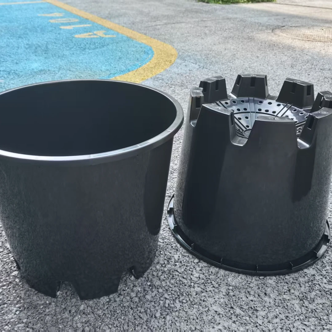 [30L蓝莓盆]几维优选蓝莓盆基地选用标准农场自用（邮政发货）