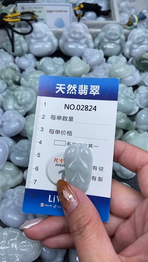 颈饰未镶嵌翡翠纯天然A货缅翡2824