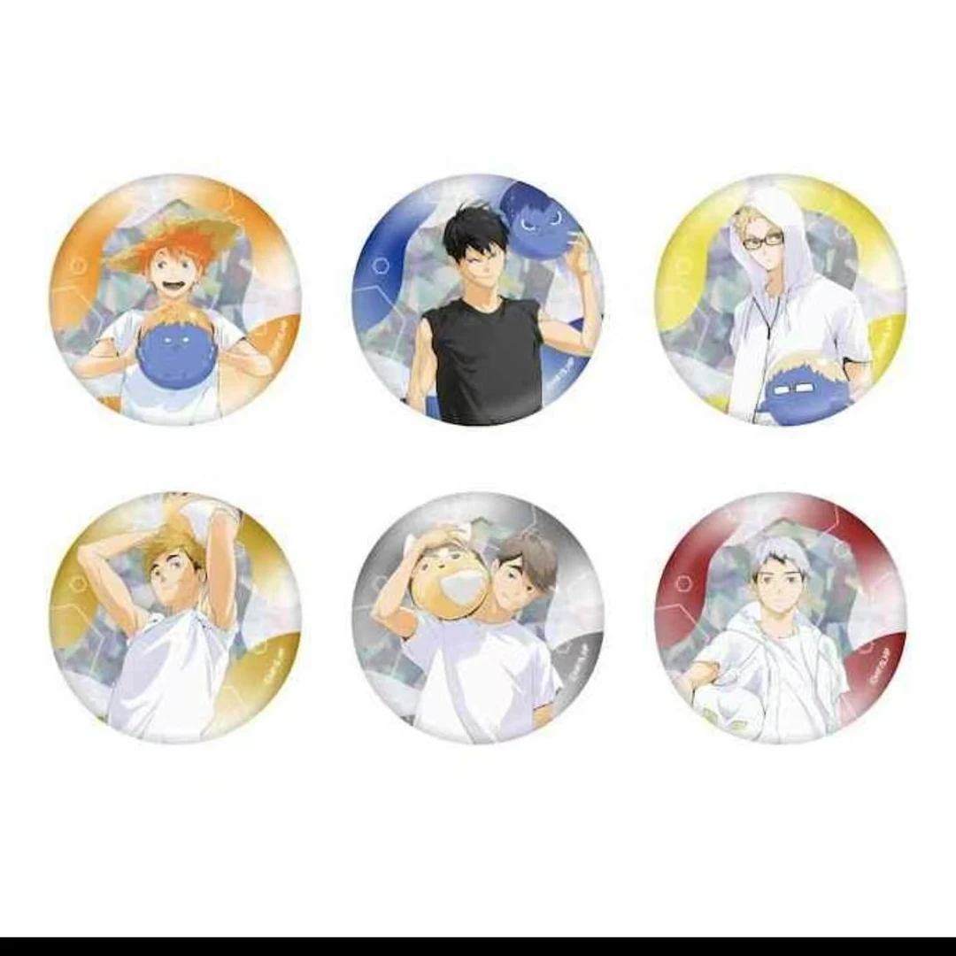 【排球少年】沙滩排球 正版日谷