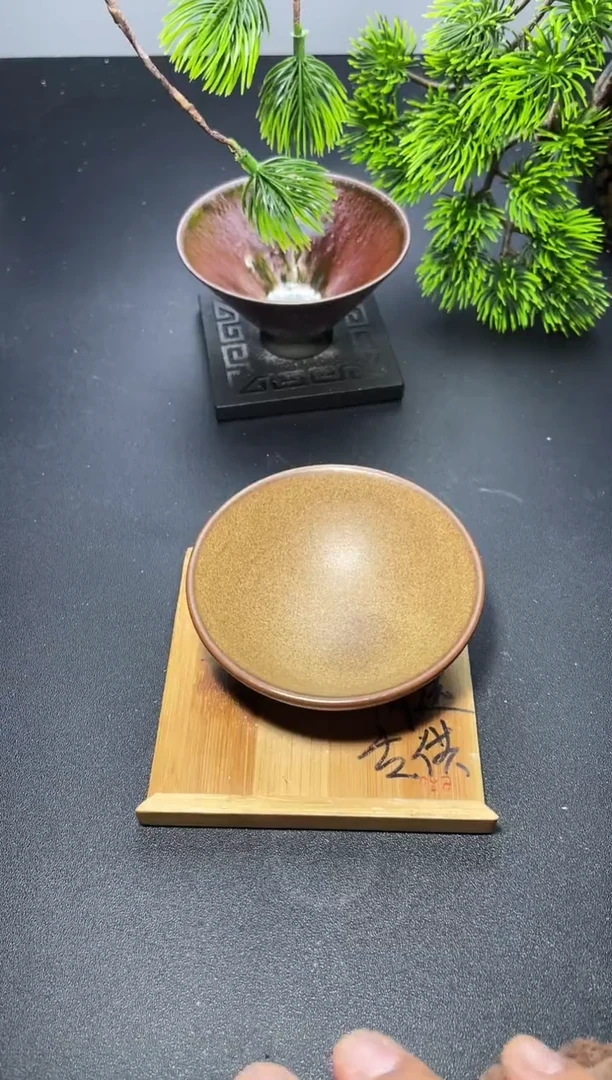 茶盏114叶紫建盏