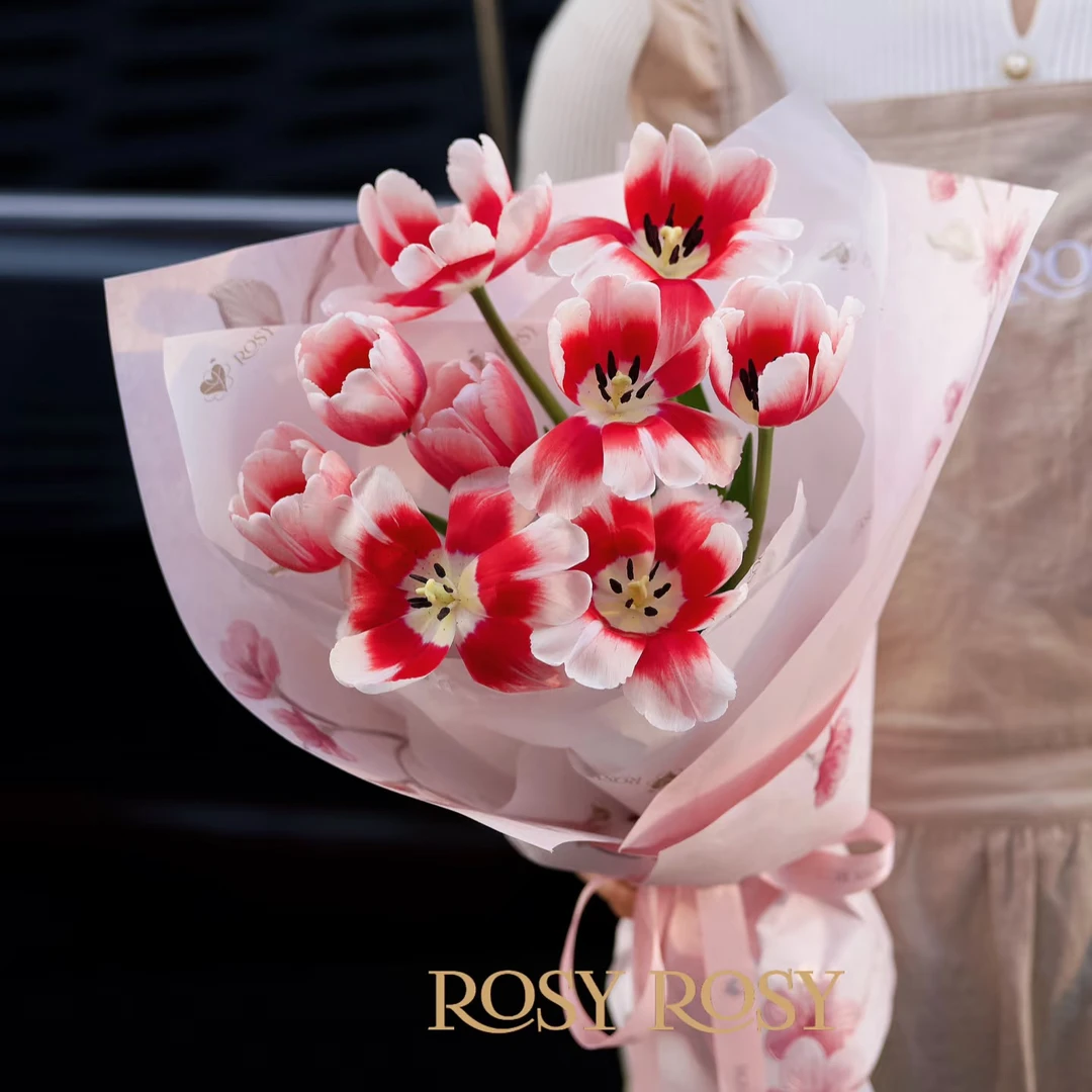 A级（小白兔）浓香郁金香东北鲜花原产地直发 鲜花鲜切花顺丰包邮