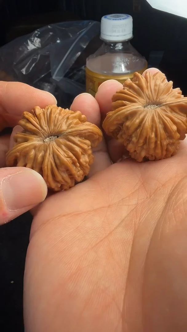把件文玩核桃༺***༻47尺全品山西汉高楼