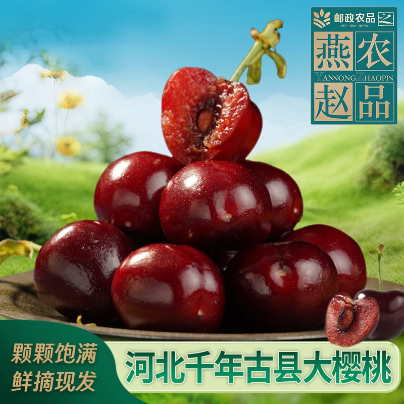 【河北邮政】甄选大樱桃新鲜采摘精品果空运当季水果孕妇可食