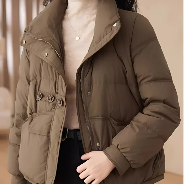 （新中式）国风羽绒服 宠粉款短款时尚百搭羽绒女装外套N000-6