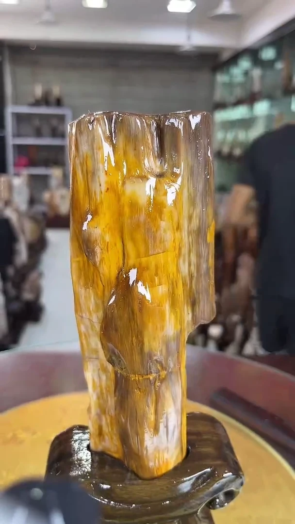 硅化玉珠宝奇石未镶嵌缅甸天然树化玉