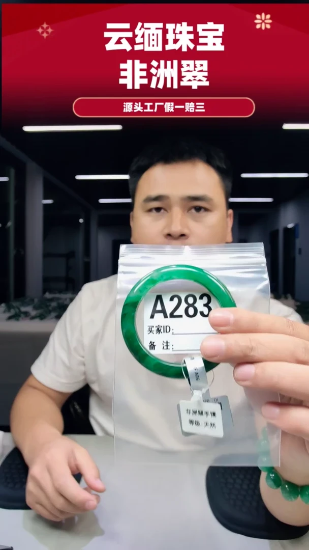 未镶嵌手镯石英质玉（非洲翠）54圈口A283