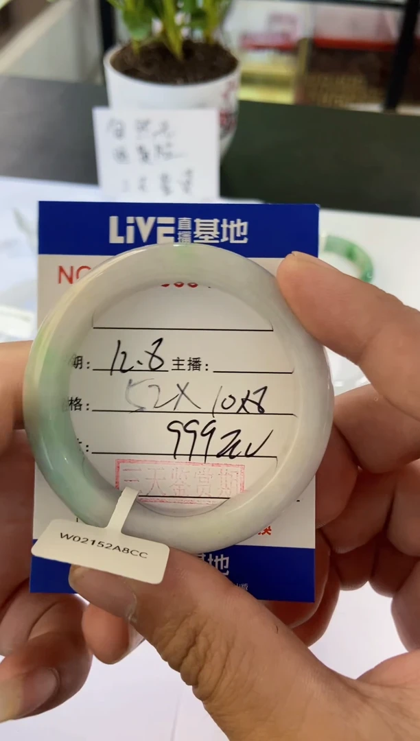 未镶嵌手镯翡翠3
