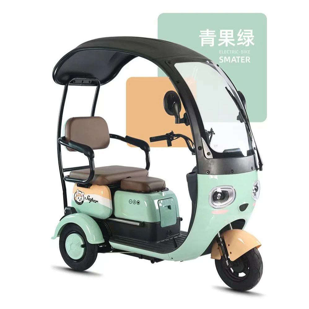 新款国标带棚电动三轮车成人家用接送孩子女士小型老年代步车电瓶