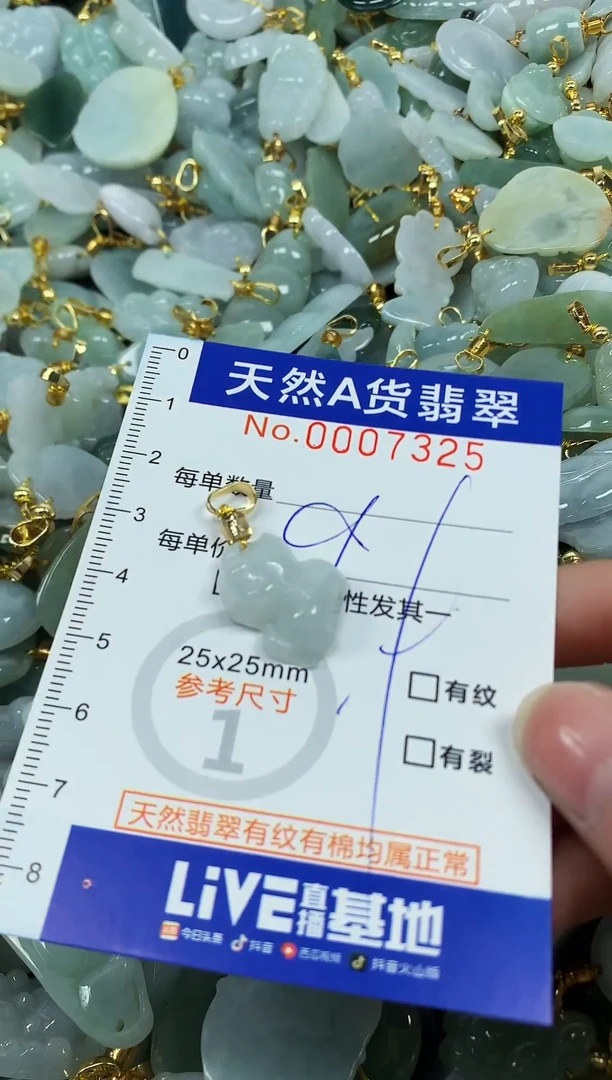 颈饰未镶嵌翡翠纯天然a货翡翠