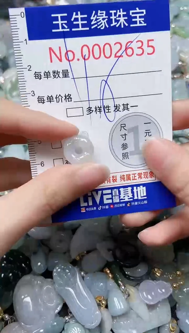【闪购商品】翡翠颈饰未镶嵌闪购00002635