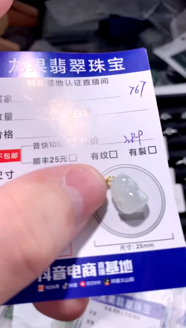 颈饰未镶嵌翡翠冰胶貔貅767