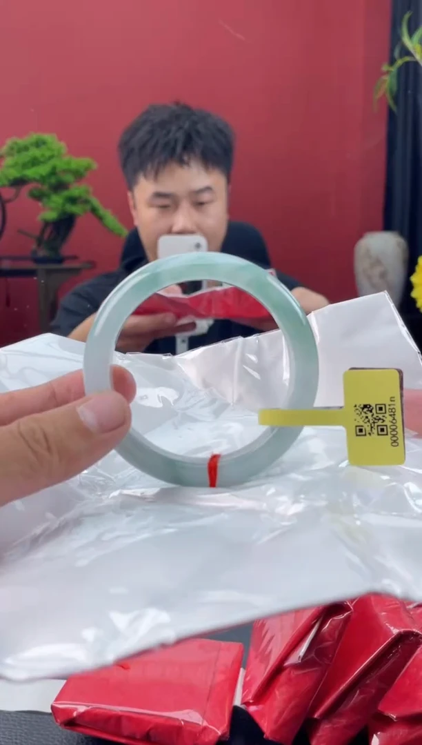未镶嵌手镯翡翠8