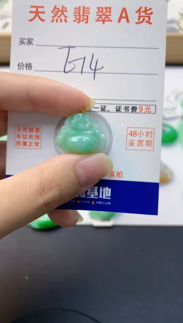 颈饰未镶嵌翡翠天然缅甸A货翡翠百元以上9元证书费自理