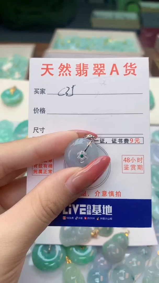 颈饰未镶嵌翡翠天然A货翡翠挂件