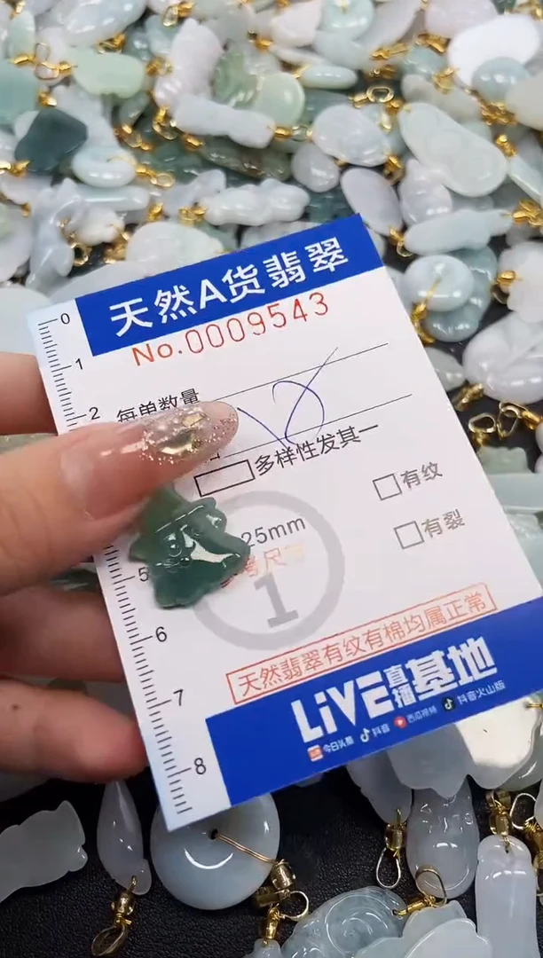 翡翠未镶嵌颈饰天然A货翡翠