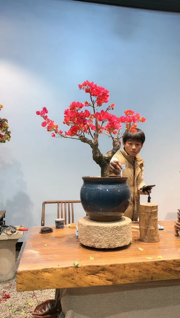 【闪购商品】AA917