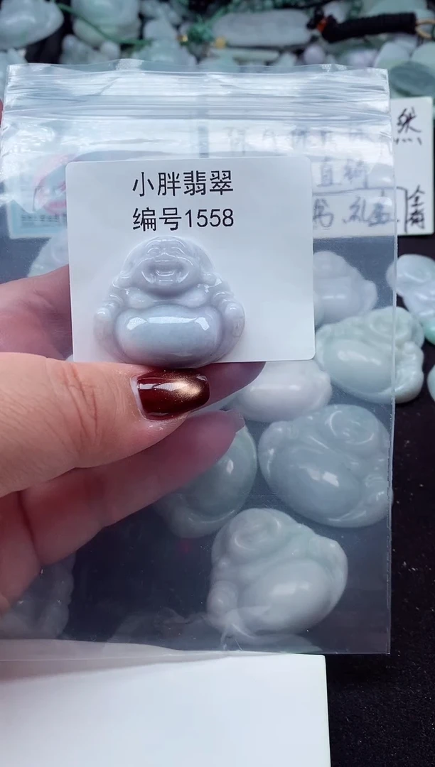 颈饰未镶嵌翡翠缅甸天然A货翡翠1558