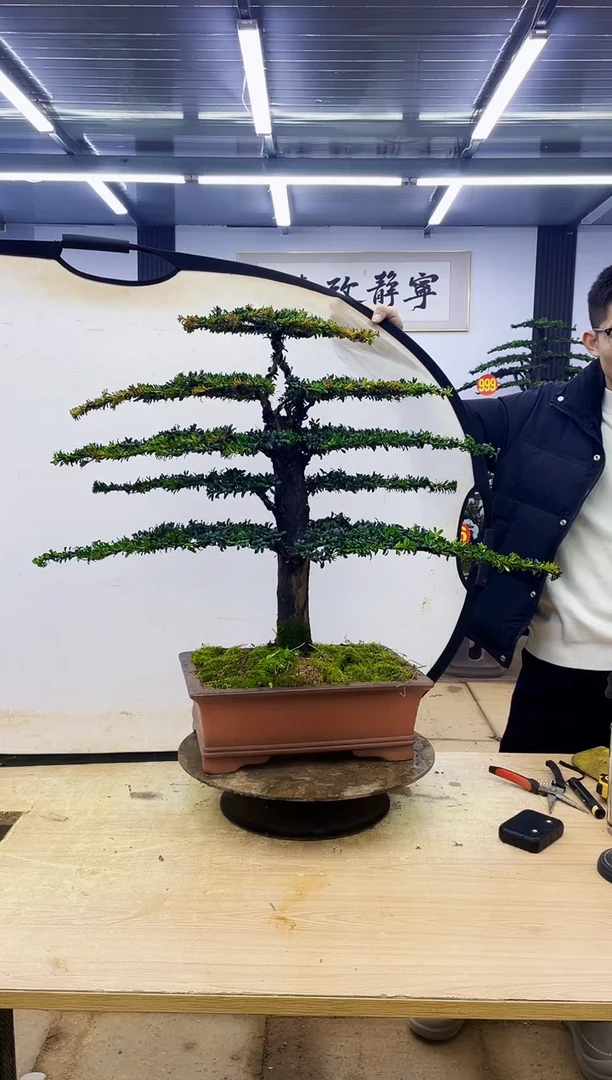 无花朵道*00000000000000000