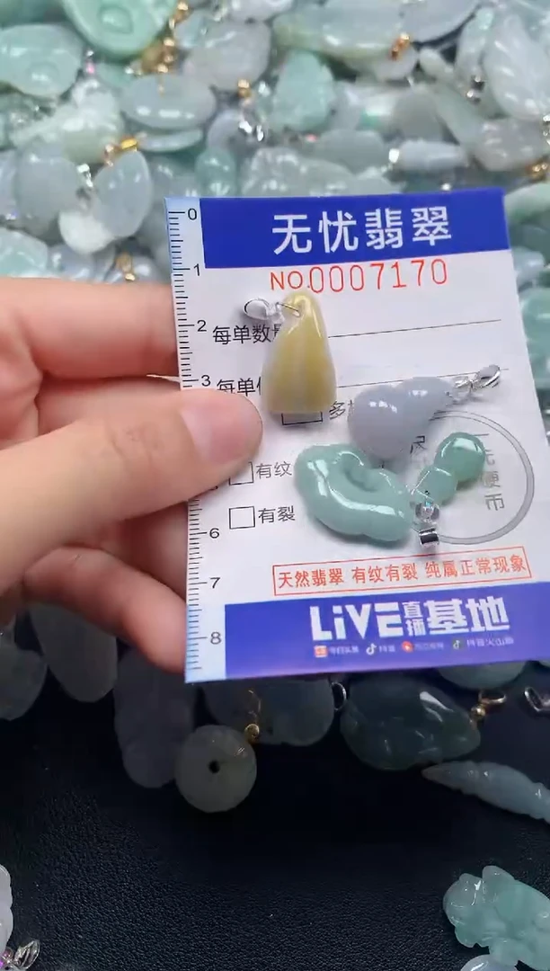 颈饰未镶嵌翡翠7170