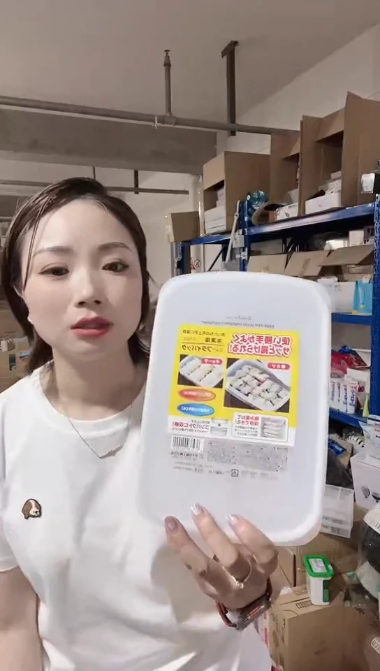 瓷片进口家用百货饺子盒一只