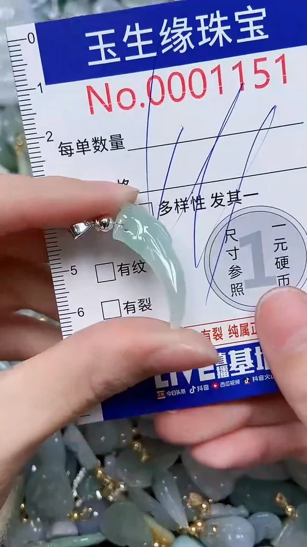 【闪购商品】翡翠颈饰未镶嵌闪购00001151